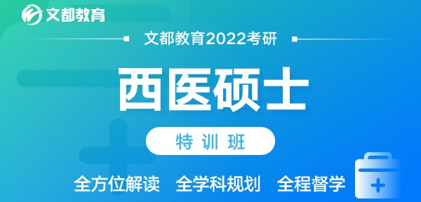 文都考研2022西医硕士特训班.png