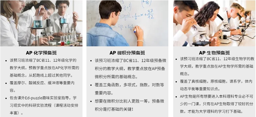 AP预备班.png