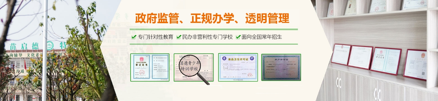 叛逆学校-正规办学.png