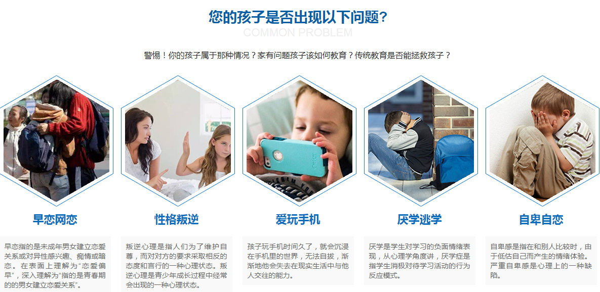 叛逆类型.png